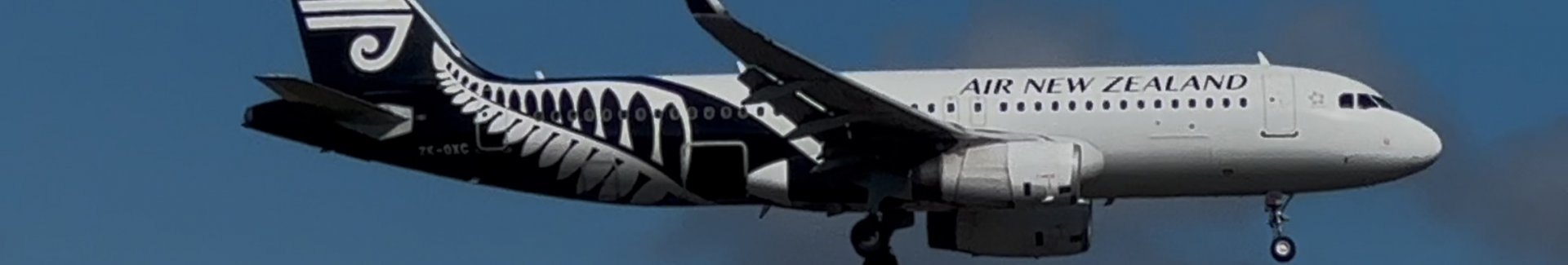 Auckland Airport Pick up and Drop off