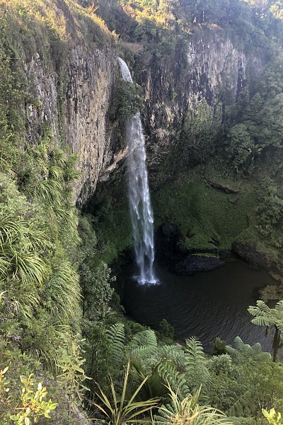 Tall, narrow Bridal Veil Falls cascading into a pool surrounded by native bush near Raglan, a stunning waterfall stop on the Auckland to Wellington route.