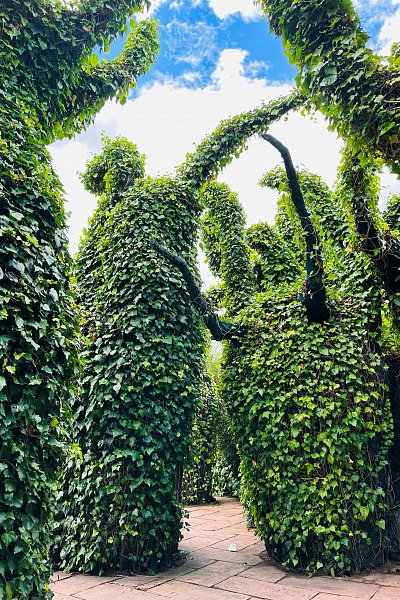 Whimsical green archways and surreal plant shapes in the Surrealist Garden at Hamilton Gardens, a unique attraction along the Auckland to Wellington drive.