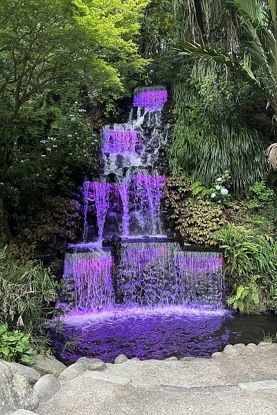 Illuminated purple waterfall surrounded by lush greenery at Pukekura Park, New Plymouth, a must-see natural attraction for road trips from Auckland to Wellington by car rental.