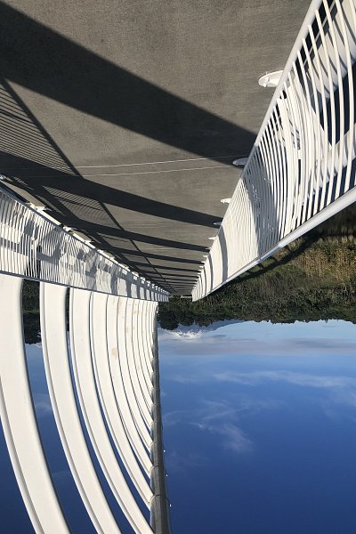 Te Rewa Rewa Bridge in New Plymouth with its white arches and walkway under blue sky, seen on an Auckland to Wellington car journey.