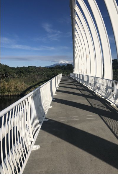 Te Rewa Rewa Bridge in New Plymouth with its white arches and walkway under blue sky, seen on an Auckland to Wellington car journey.