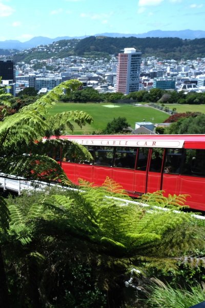 Wellington Cable Car passing through green ferns with panoramic city and harbor views, seen during an Auckland to Wellington road trip.
